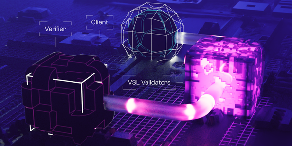 Unpacking the VSL: What are Claims?